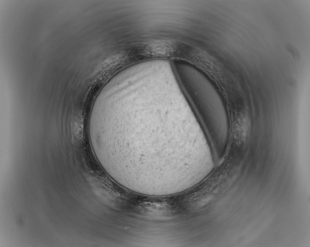 X0000112920552200909211055