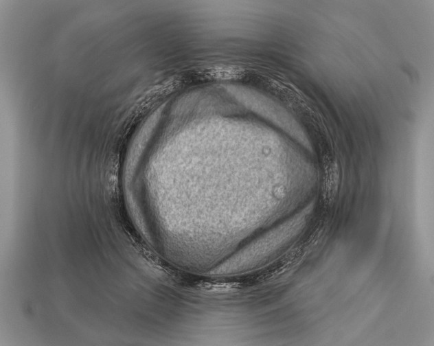 X0000112920553200909211055