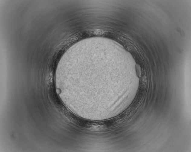 X0000112920555200909211055