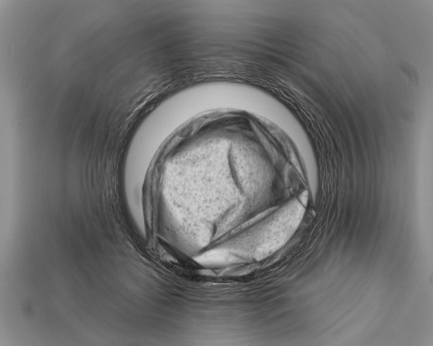 X0000112920556200909211055