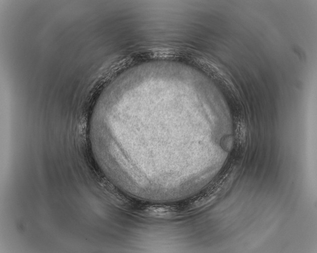 X0000112920557200909211055