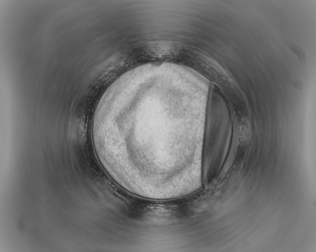 X0000112920558200909211055
