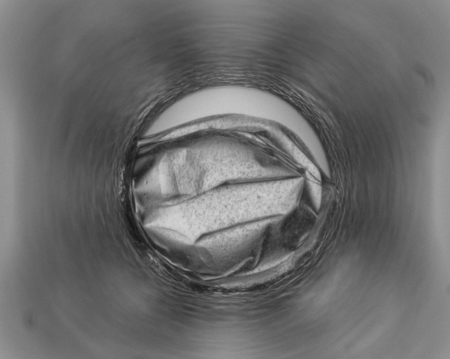 X0000112920560200909211055