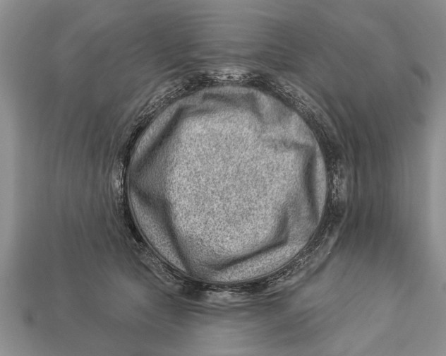 X0000112920561200909211055