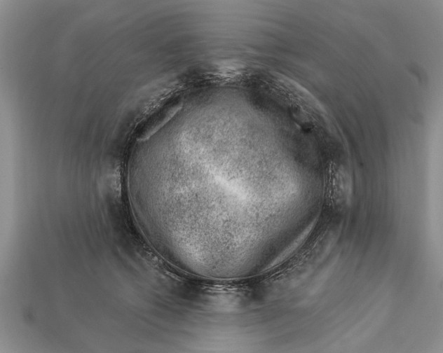 X0000112920562200909211055