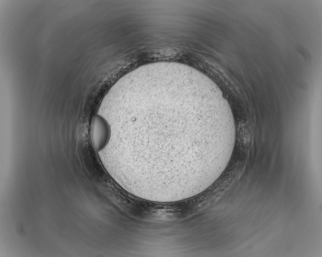 X0000112920564200909211055