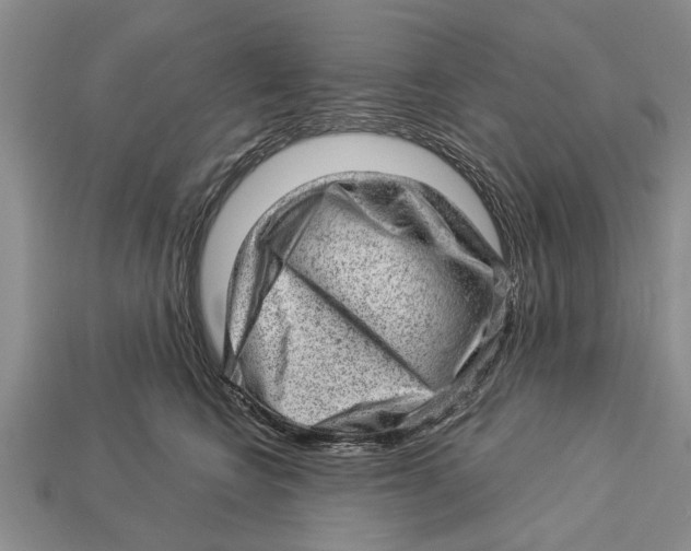 X0000112920566200909211055