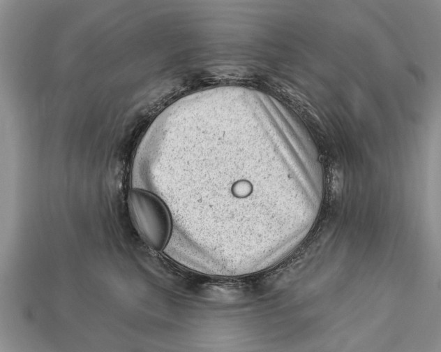 X0000112920567200909211055