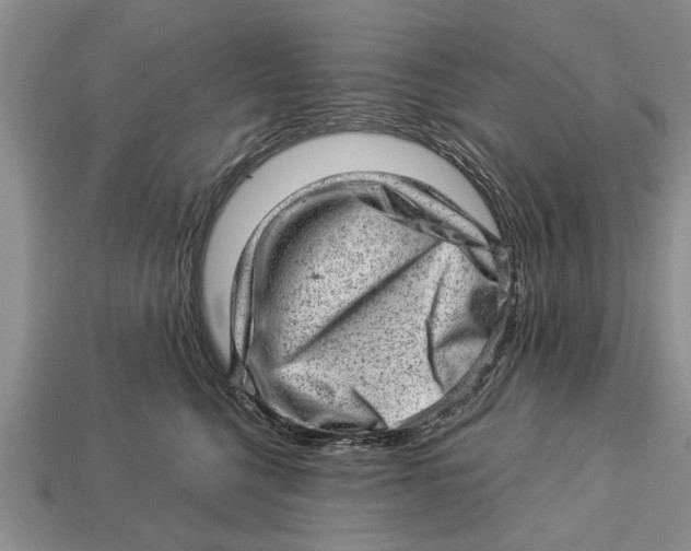X0000112920568200909211055
