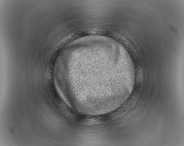 X0000112920569200909211055