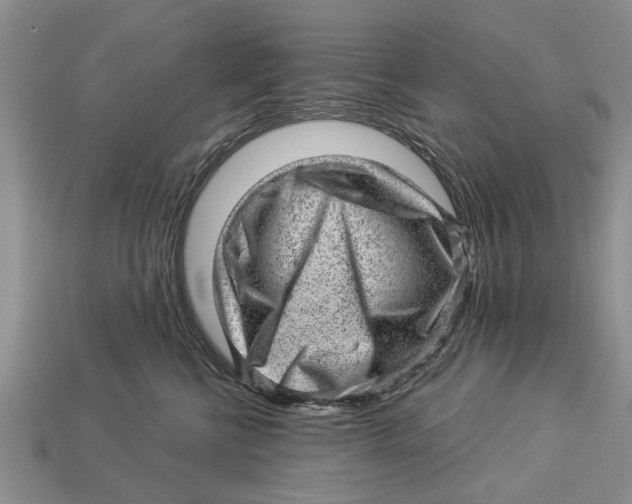 X0000112920570200909211055