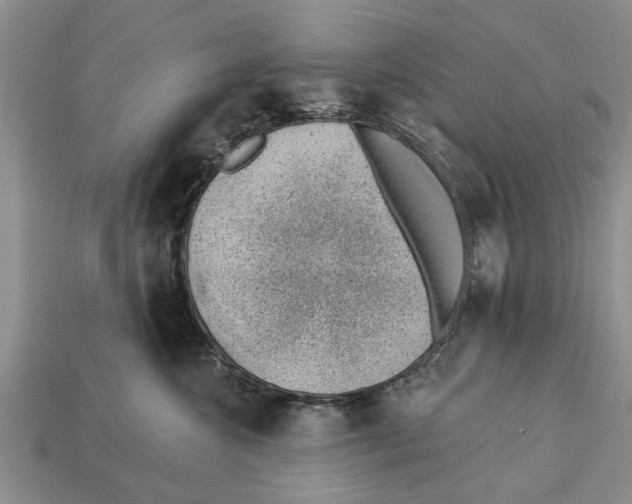 X0000112920572200909211055