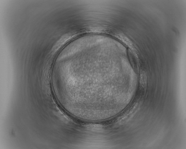 X0000112920577200909211055