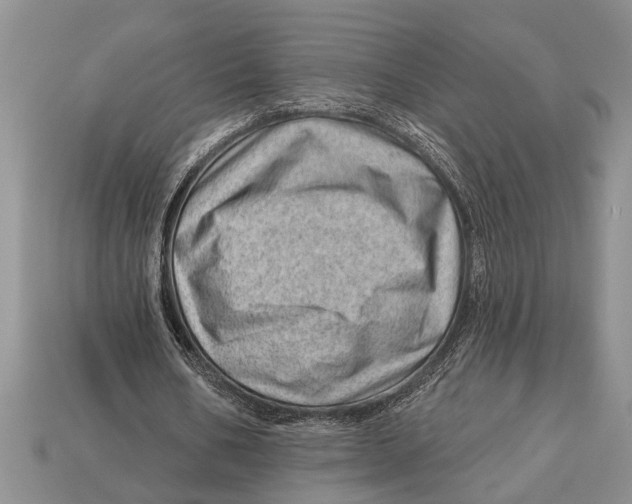 X0000112920578200909211054