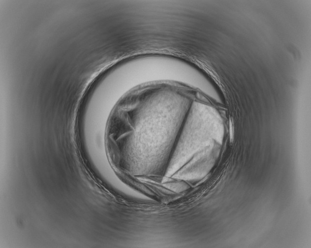 X0000112920579200909211054