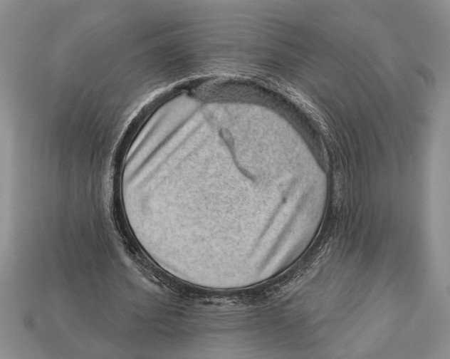 X0000112920580200909211054
