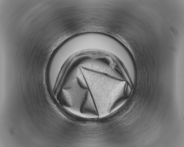 X0000112920581200909211054