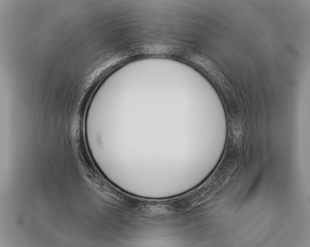 X0000112920583200909211054