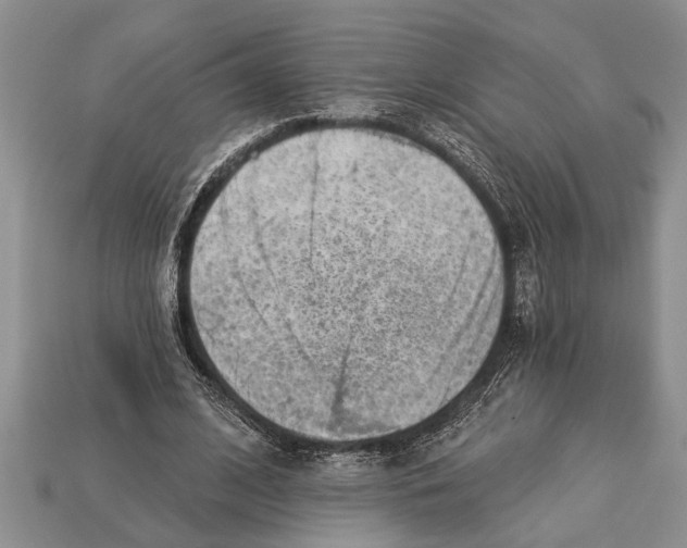 X0000112920584200909211054
