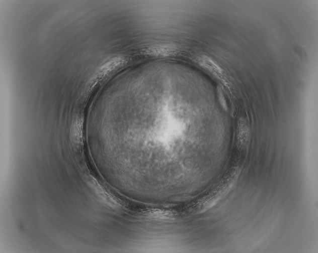 X0000112920585200909211054