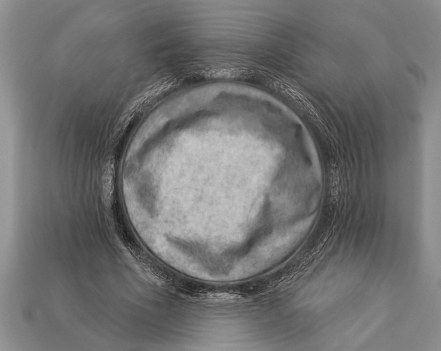 X0000112920586200909211054