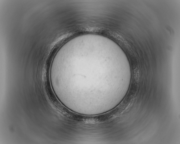 X0000112920587200909211054
