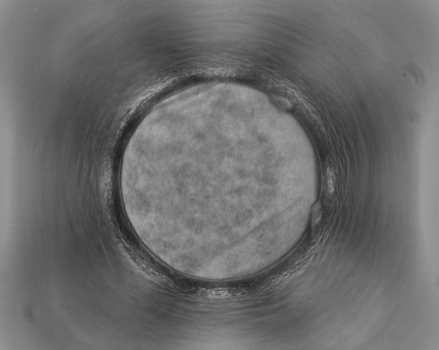 X0000112920588200909211054