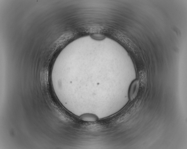 X0000112920589200909211054