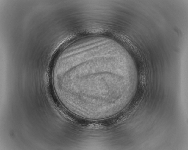 X0000112920591200909211054