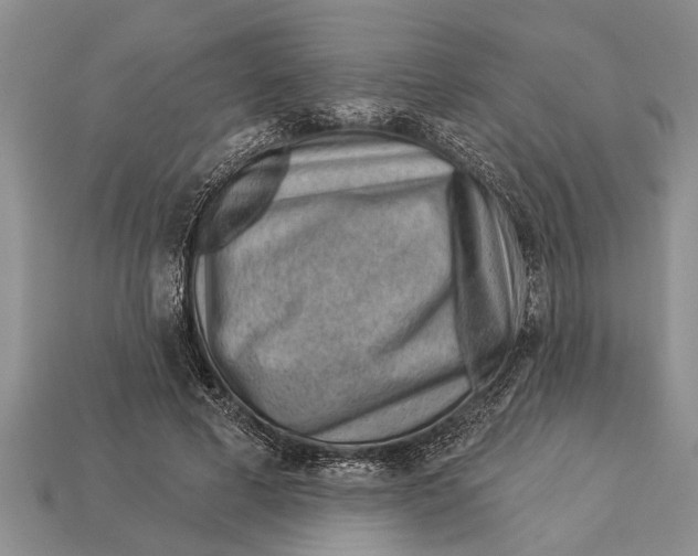 X0000112920593200909211054