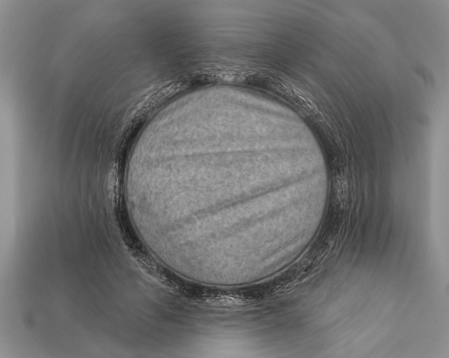 X0000112920594200909211054