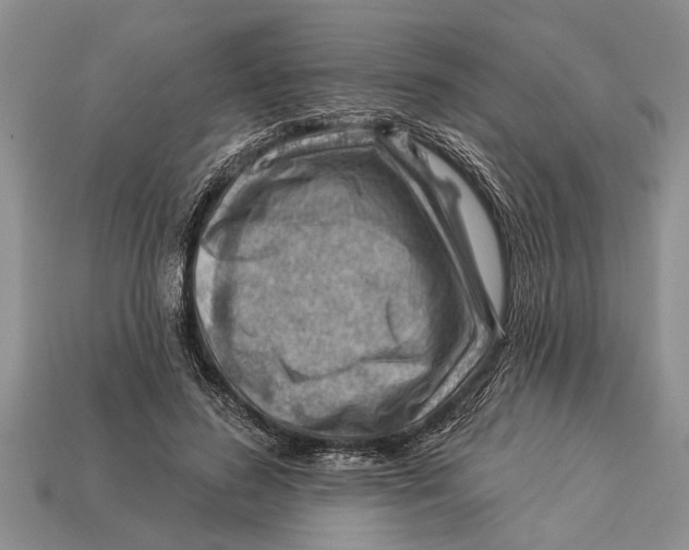 X0000112920596200909211054