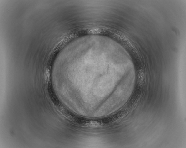 X0000112920598200909211054
