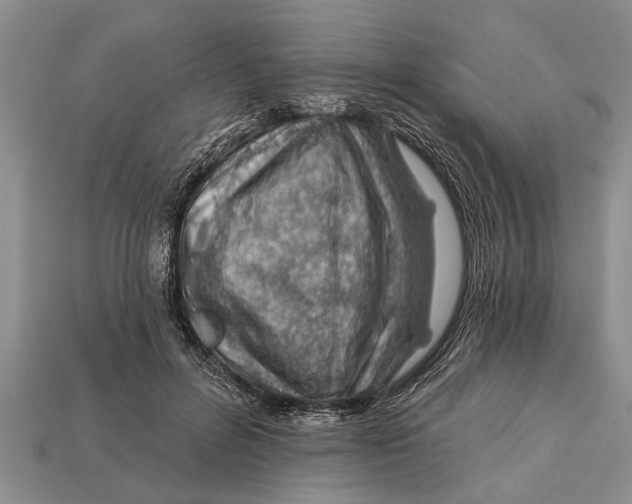 X0000112920600200909211054