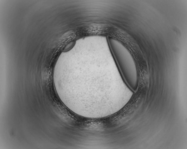 X0000112920601200909211054