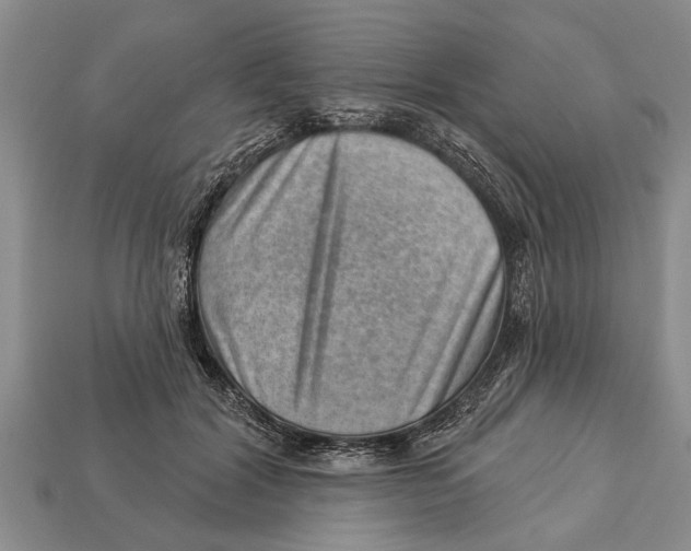 X0000112920604200909211054