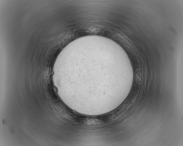X0000112920605200909211054