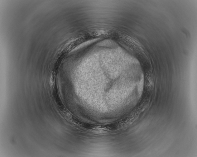 X0000112920607200909211054