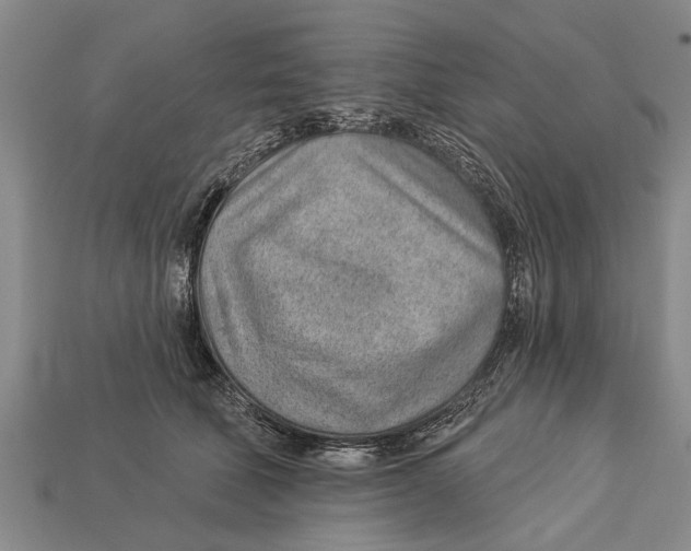 X0000112920610200909211054