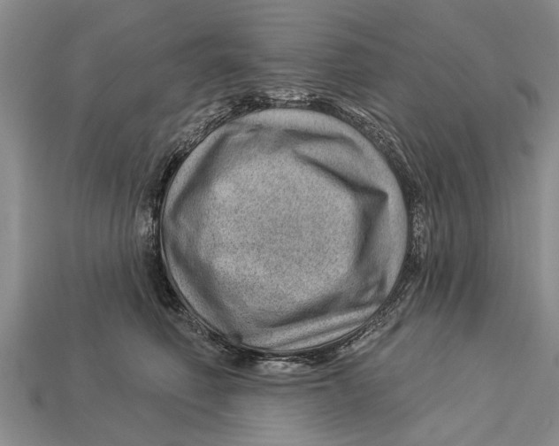 X0000112920614200909211054