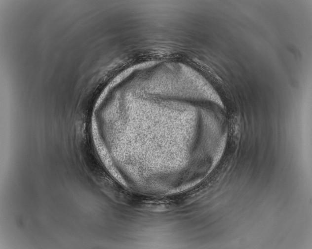 X0000112920615200909211054