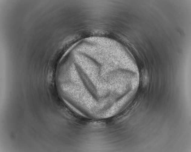 X0000112920619200909211054