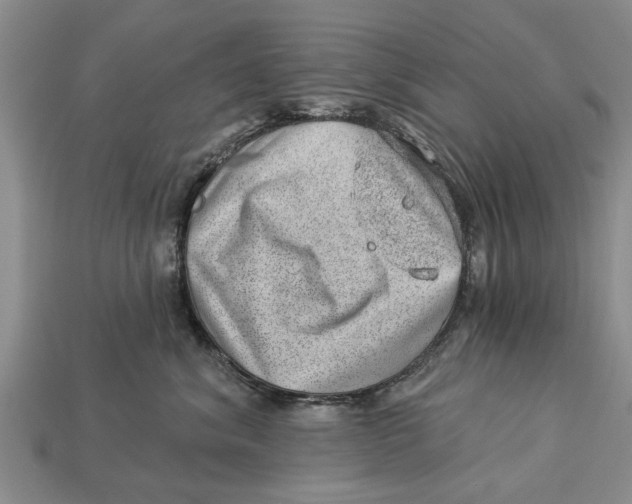 X0000112920620200909211054