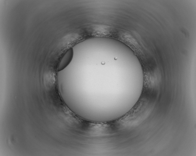 X0000112920621200909211054