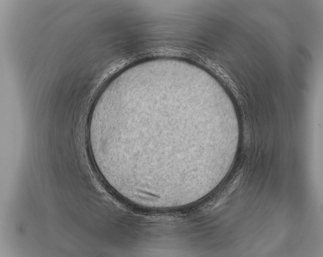 X0000112920625200909211053