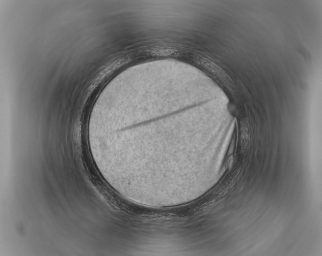 X0000112920626200909211053