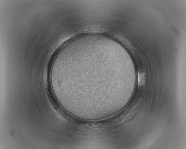 X0000112920627200909211053