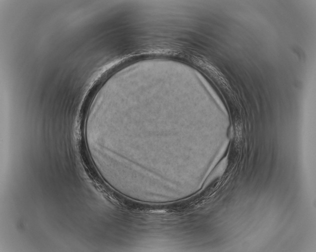 X0000112920628200909211053