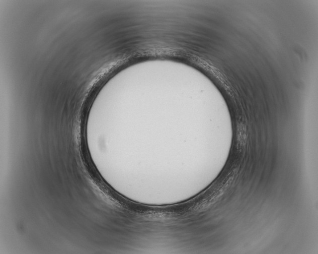 X0000112920629200909211053