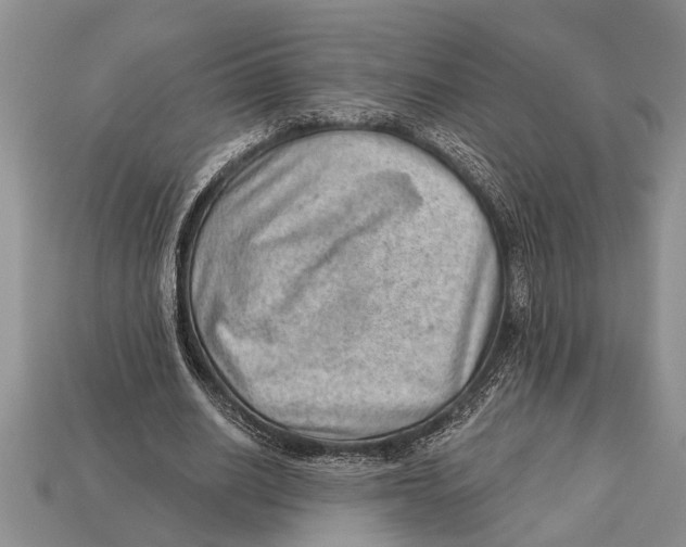 X0000112920630200909211053